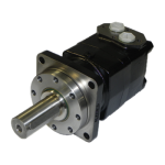 Wersja standardowa Wersja standardowa