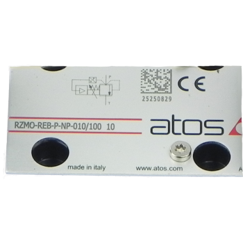 Tabliczka RZMO-REB-P-NP-010/100 / RZMO-REB-P-NP-010/100 name plate